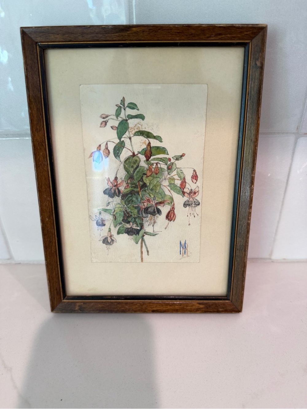 Beautiful Framed Vintage Botanical Watercolor Painting – Signed "MR"